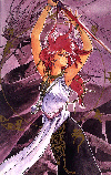 3x3 Image